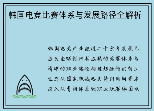 韩国电竞比赛体系与发展路径全解析