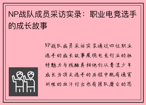 NP战队成员采访实录：职业电竞选手的成长故事
