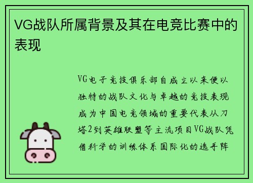 VG战队所属背景及其在电竞比赛中的表现